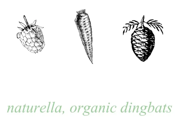 Naturella by Intellecta Design — Dingbats Font