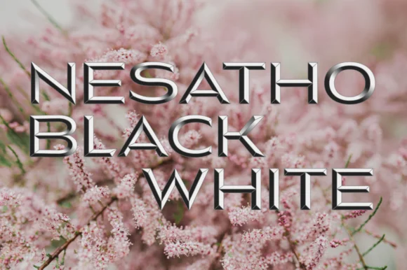 Nesatho-OK by glukfonts — Color Fonts Font — thumbnail 2