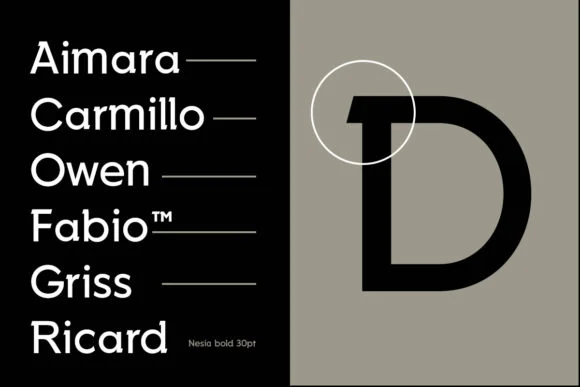 Nesia Sans by Ryan Vierra — Slab Serif Font — thumbnail 4