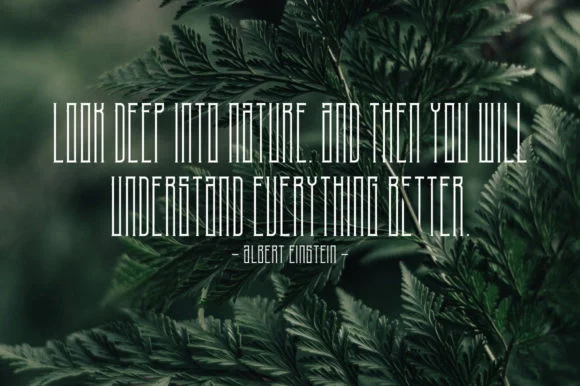 NoiseStorm by The-sastra — Slab Serif Font — thumbnail 2