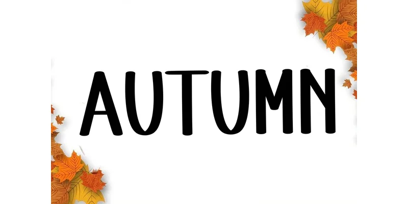 Note Summer Font by FreshTypeINK — Display Font — thumbnail 3