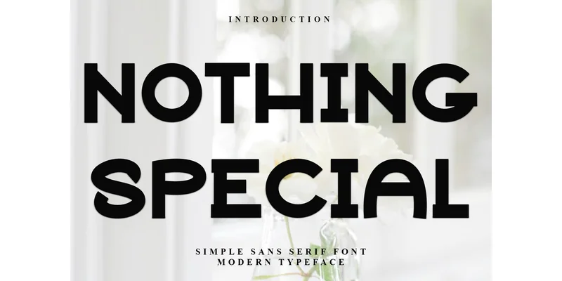 Nothing Special Font by FreshTypeINK — Display Font