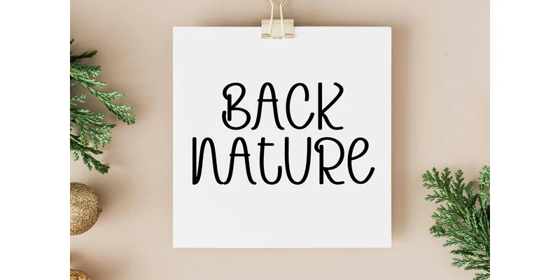 Olivrae Font by ArtLine Design — Display Font — thumbnail 4