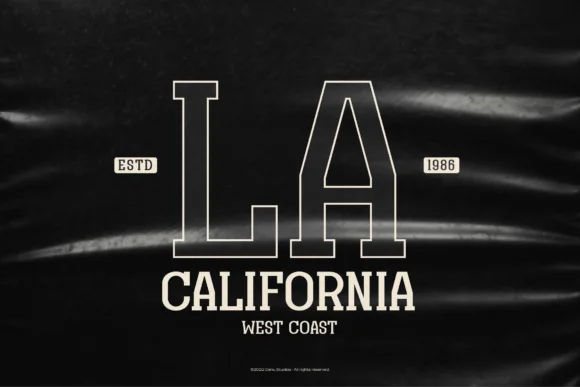 Original Regional by Denustudios — Slab Serif Font — thumbnail 4