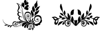 Orments by GorgezCreations — Dingbats Font — thumbnail 8
