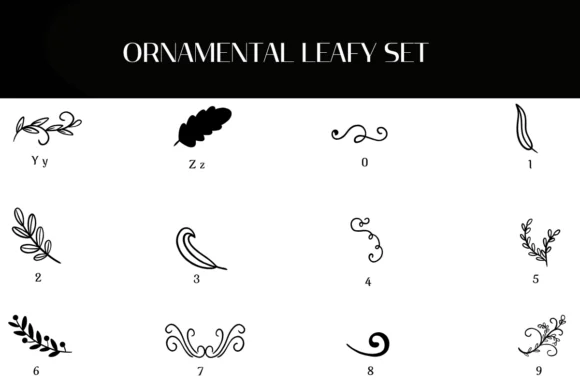 Ornamental Leafy Set by Heartcraft Atelier — Dingbats Font — thumbnail 4