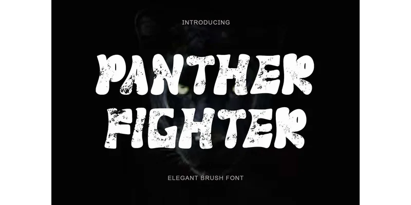 Panther Fighter Font by yogaletter6 — Display Font