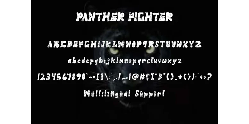 Panther Fighter Font by yogaletter6 — Display Font — thumbnail 6