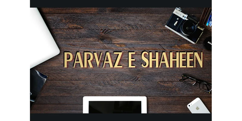 Parvaz E Shaheen Font by mhd.usman00 — Display Font