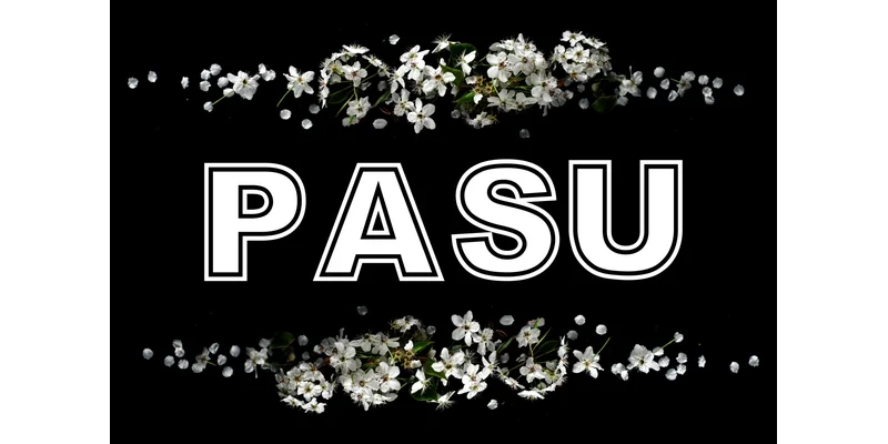 Pasu Font by mhd.usman00 — Display Font — thumbnail 2