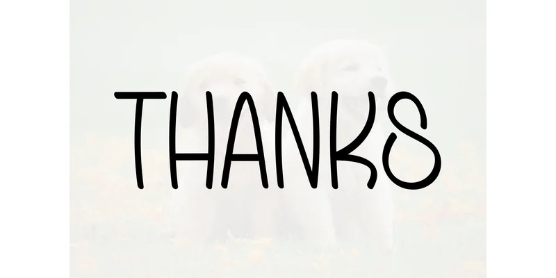 Patriotic Font by Berkah Shop — Display Font — thumbnail 5