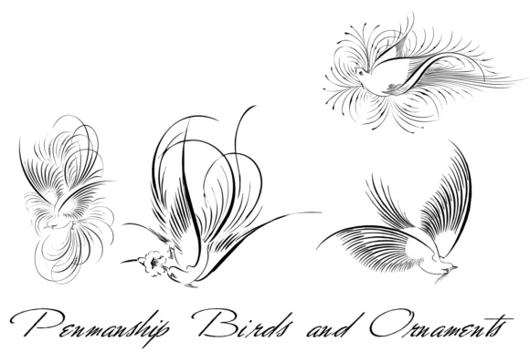 Penmanship Birds and Ornaments by Lisa Miller Design — Dingbats Font