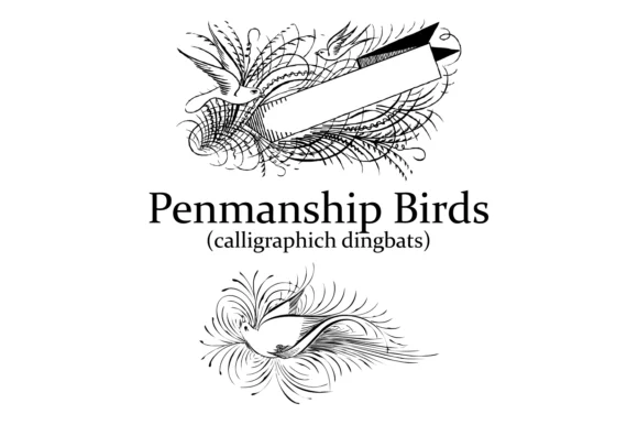 Penmanship Birds by Intellecta Design — Dingbats Font