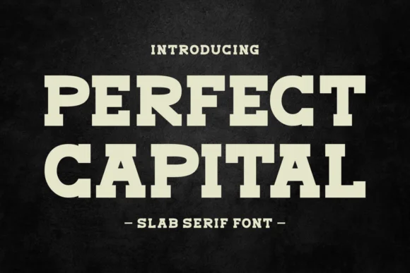 Perfect Capital by Eightde โ Slab Serif Font