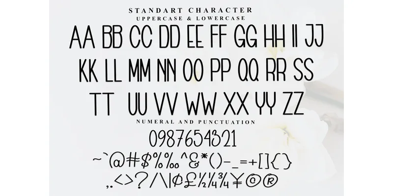 Photography Font by PiPi Creative — Display Font — thumbnail 5