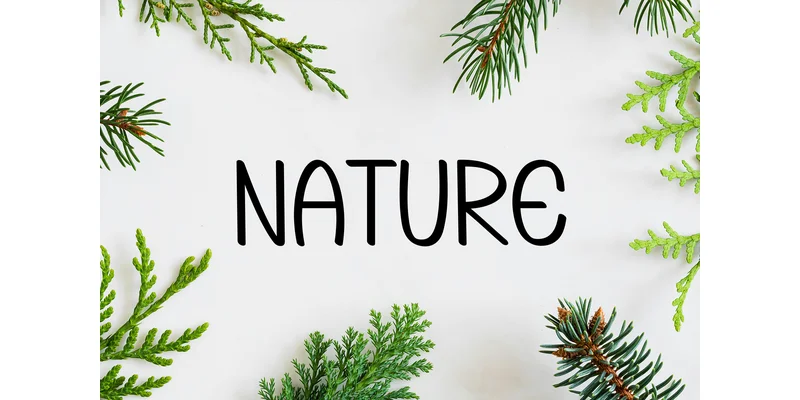 Pingela Font by Berkah Shop — Display Font — thumbnail 3