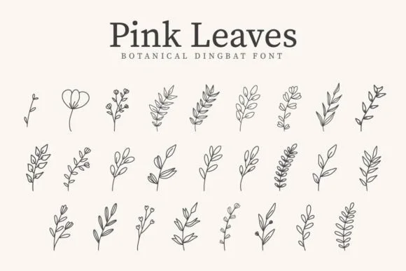 Pink Leaves by CraftedType Studio — Dingbats Font