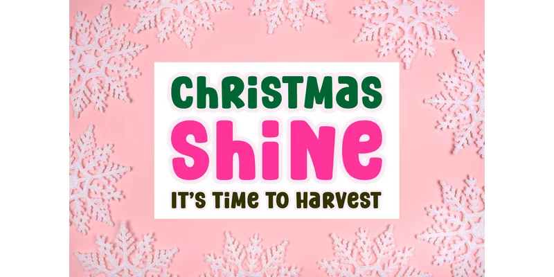 Pinky Font by Yan (7NTypes) — Display Font — thumbnail 2