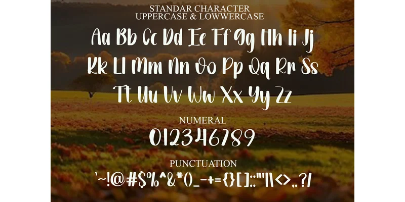 Planberry Font by PiPi Creative — Display Font — thumbnail 7