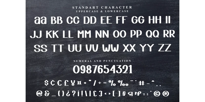 Planner Sometimes Font by FreshTypeINK — Display Font — thumbnail 3