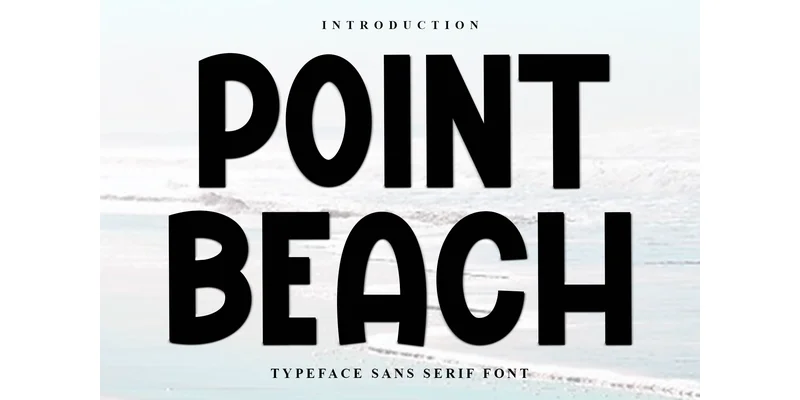Point Beach Font by FreshTypeINK — Display Font