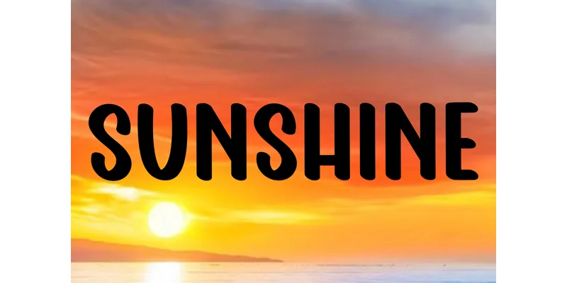 Point Summer Font by FreshTypeINK — Display Font — thumbnail 2