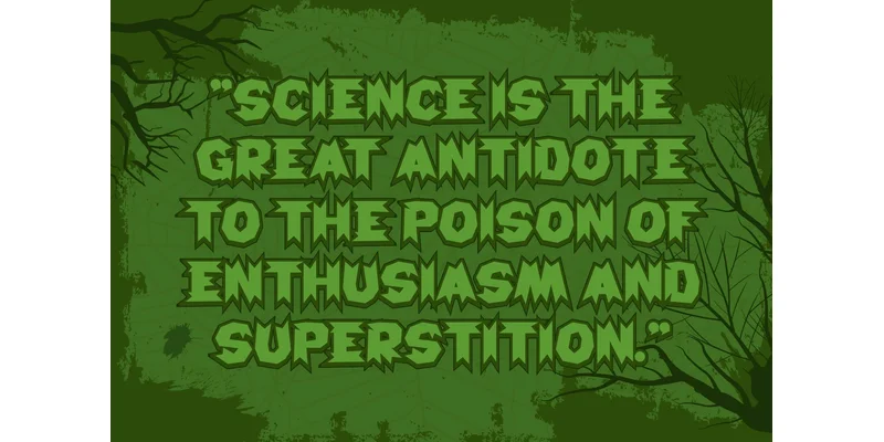 Poison Font by Kido Studio — Display Font — thumbnail 4