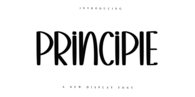 Principle Font by PiPi Creative — Display Font