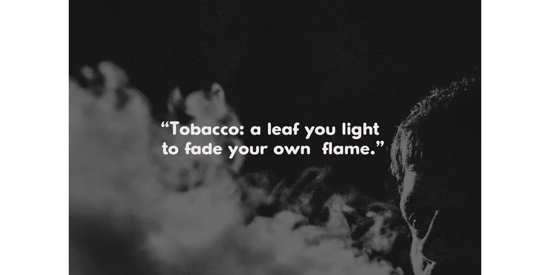 Qacho Checko Font by Maulana Creative — Sans Serif Font — thumbnail 5