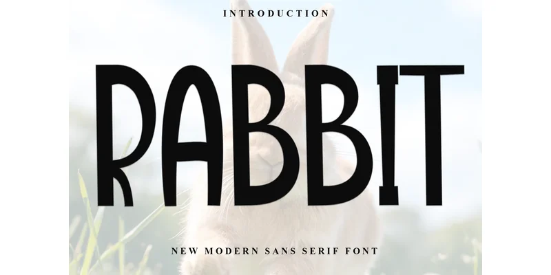Rabbit Font by FreshTypeINK — Display Font