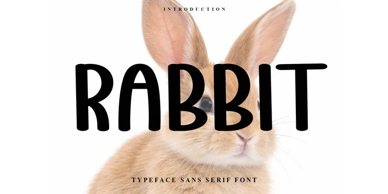 Rabbit Font by Inermedia STUDIO — Display Font