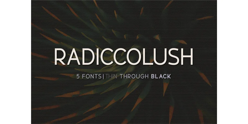 Radiccolush Font by Huntype — Sans Serif Font