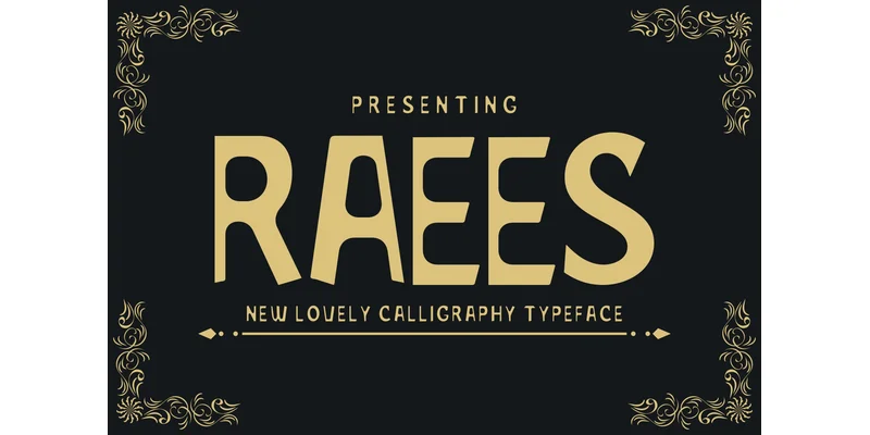 Raees Font by mhd.usman00 — Display Font