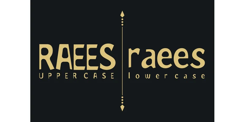 Raees Font by mhd.usman00 — Display Font — thumbnail 3