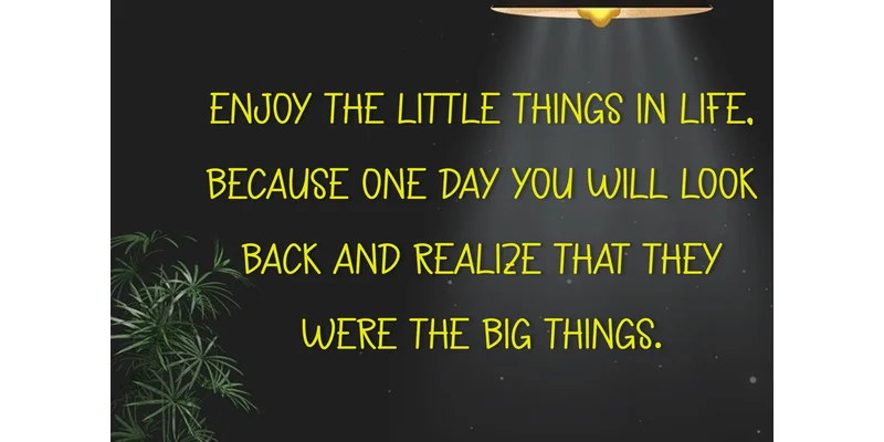 Rain Forest Font by PiPi Creative — Display Font — thumbnail 4