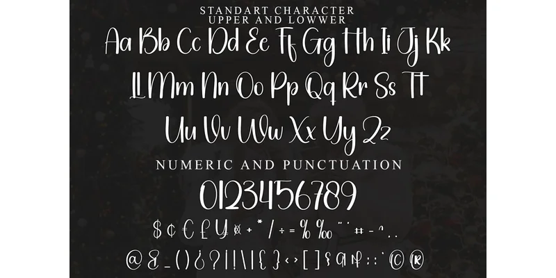 Rainer December Font by PiPi Creative — Display Font — thumbnail 5