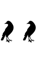 Raven by Ketsarin — Dingbats Font — thumbnail 8