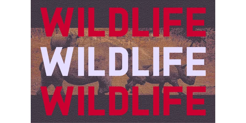 Redzone Font by Huntype — Sans Serif Font — thumbnail 6