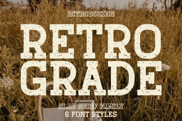 Retro Grade by Rvandtype — Slab Serif Font