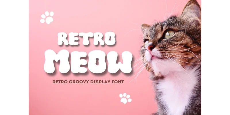 Retro Meow Font by Minimalist Eyes — Display Font