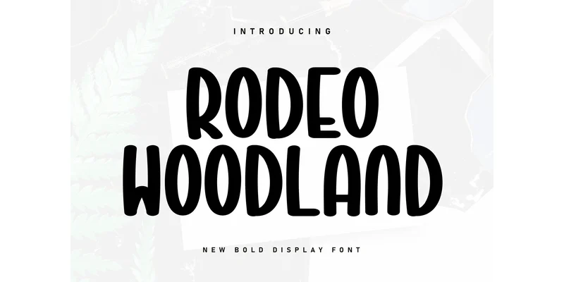 Rodeo Woodland Font by Berkah Shop — Display Font