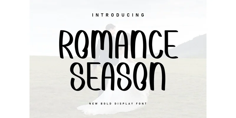 Romance Season Font by ArtLine Design — Display Font