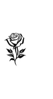 Rose for Valentine by MOMAT THIRTYONE — Dingbats Font — thumbnail 3
