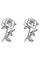 Rose Love by Heartcraft Atelier — Dingbats Font — thumbnail 8
