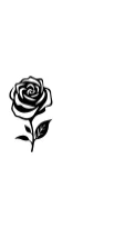Rose Rose by MOMAT THIRTYONE — Dingbats Font — thumbnail 3