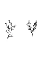 Rosemary Sprigs by MOMAT THIRTYONE — Dingbats Font — thumbnail 5