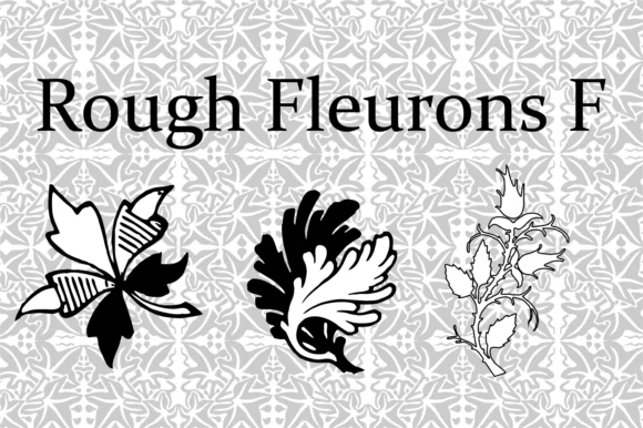 Rough Fleurons F by Intellecta Design — Dingbats Font