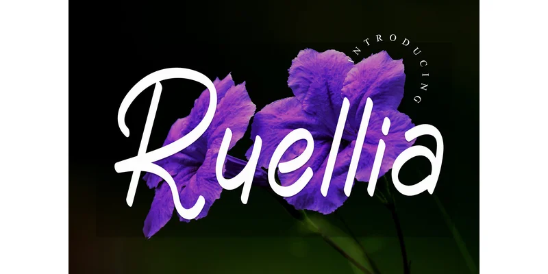 Ruellia Font by GiaLetter — Display Font