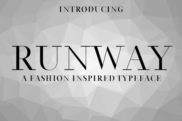 Runway by denestudios — Slab Serif Font