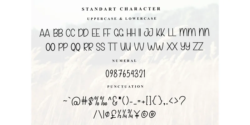 Samantha Font by Inermedia STUDIO — Sans Serif Font — thumbnail 5